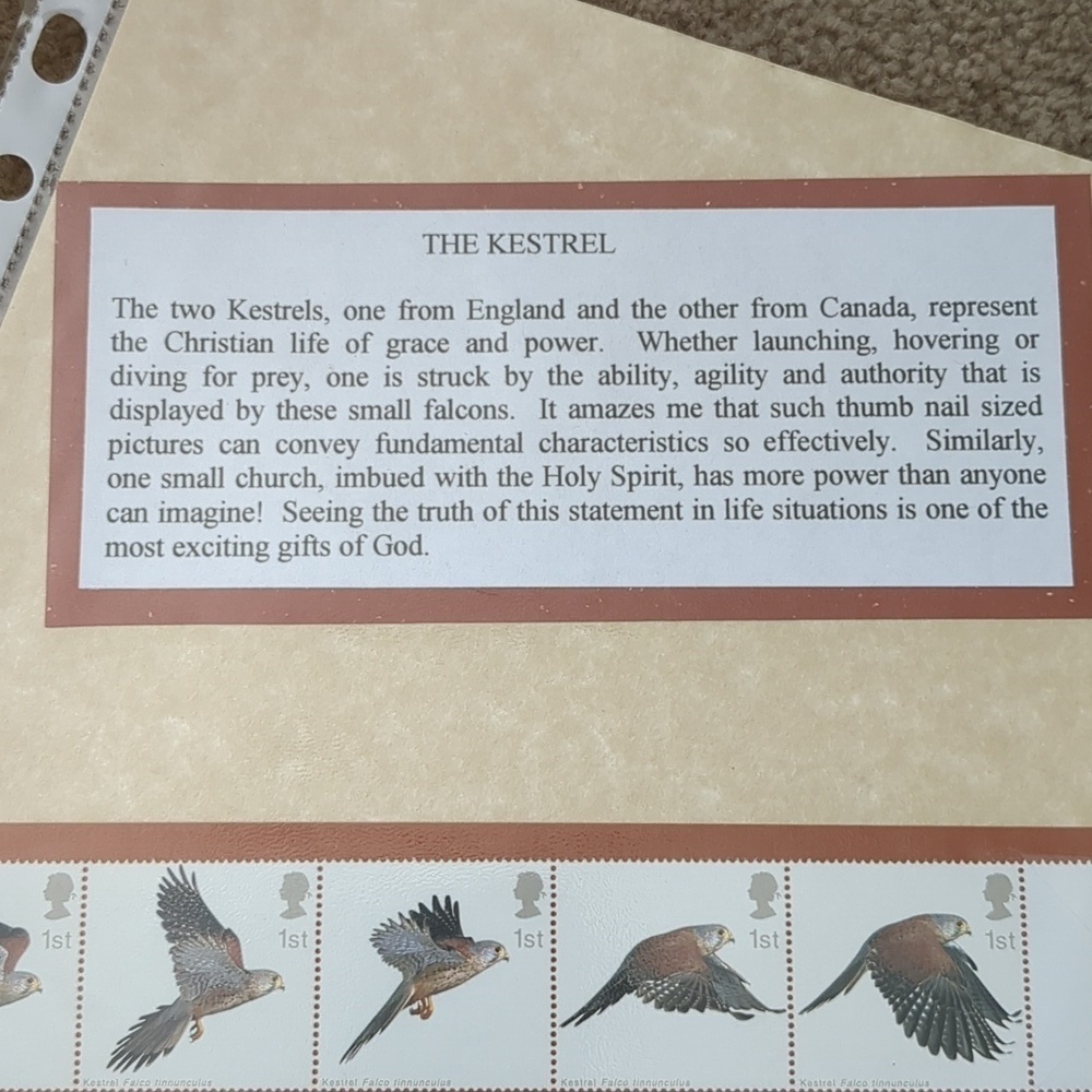 Kestrel Bird Stamp Collection Sheet - Picture 6 of 6